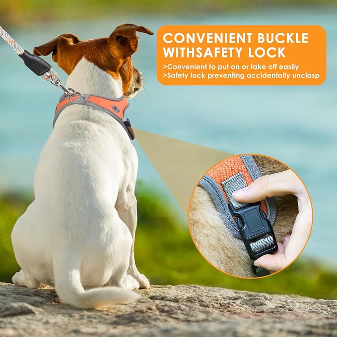 Dog Harness and Leash Set, No Pull Saddle Style Pet Harness, Breathable Mesh Adjustable Reflective Dog Vest for Medium Small Dogs Harness 2 D-Rings, Orange, XS - Image 5
