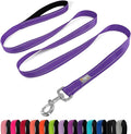 6 FT Basic Dog Leash for Large Dogs,Purple | Padded Handle,Metal D-Ring,Heavy Duty Nylon Webbing, for Walking & Training by Penseepet