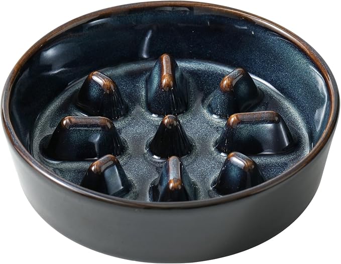 Havniva Ceramic Slow Feeder Dog Bowls, Dog Bowl Slow Feeder | 0.9 Cups Dog Slow Feeding Bowls for Small Dogs, Puzzle Dog Food Bowls for Fast Eater, Pet Slow Feeding Dish, Non-Slip by Havniva
