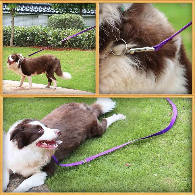AMAGOOD 6 FT Puppy/Dog Leash, Strong and Durable Traditional Style Leash with Easy to Use Collar Hook, Great for Small, Medium and Large Dogs (3/4 in x 6 ft, Purple) - Image 4