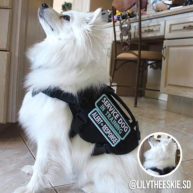 OneTigris Tactical Dog Harness XS Small Dog Vest with Handle | Military XS dog harness with vertical control handle. Soft fleece padding & quick-release. Ideal for training & walks. - Image 2