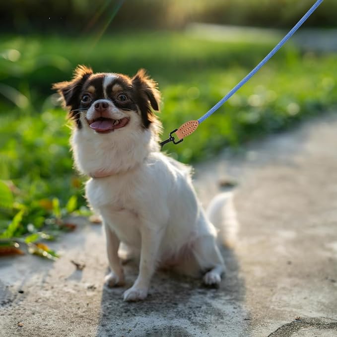 Mile High Life Dog Leash with Genuine Leather-Wrapped Ends, 4/5/6FT | Tangle-Free 360° Swivel Clasp Heavy Duty Rope Leash | Small Medium Large Dogs | Daily Walking (Blue White, 60 Inch, 1/3") - Image 2