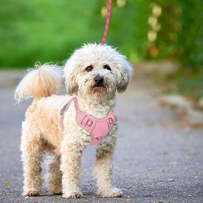 BARKBAY No Pull Dog Harness Large Reflective Dog Harness with Front Clip and Easy Control Handle for Walking Training Running with ID tag Pocket(Baby Pink,S) - Image 9