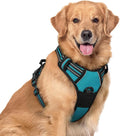 rabbitgoo Dog Harness, No Pull for Large Dogs with 2 Leash Clips, Pet Vest | No Choke, Adjustable, Breathable Padded, 2 Lead Rings, Reflective, Easy Control for Walking Training, XL, Teal by rabbitgoo