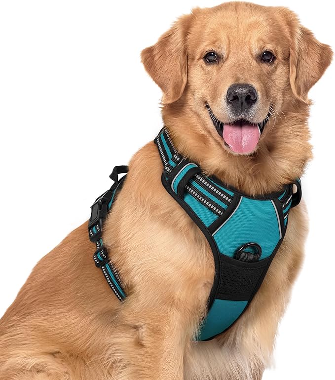 rabbitgoo Dog Harness, No Pull for Large Dogs with 2 Leash Clips, Pet Vest | No Choke, Adjustable, Breathable Padded, 2 Lead Rings, Reflective, Easy Control for Walking Training, XL, Teal by rabbitgoo