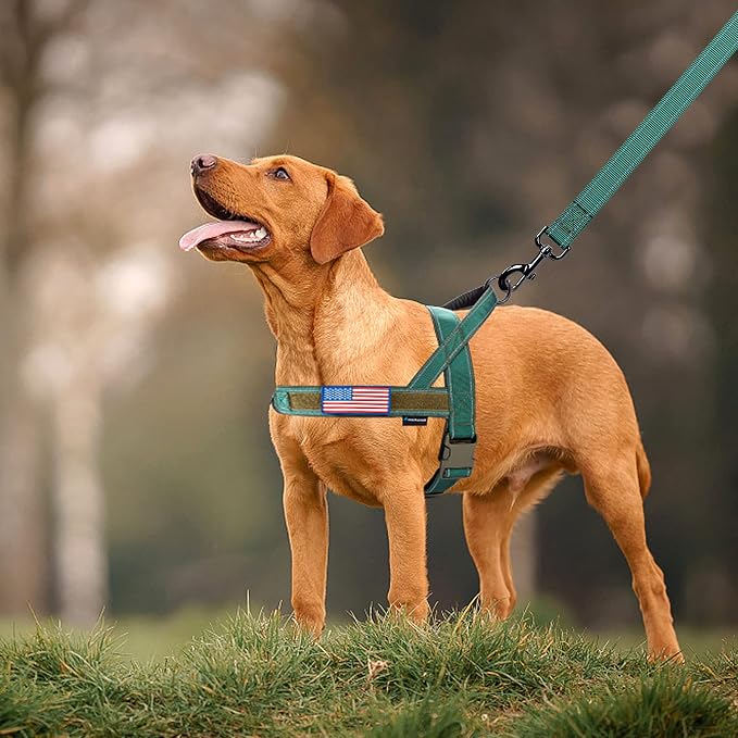 Annchwool No Pull Dog Harness with Padded Handle+5 Ft Leash,Reflective Strip Escape Proof and Quick Fit to Adjust Dog Harness,Easy for Training Walking for Small & Medium and Large Dogs(Green-Set,S) - Image 6