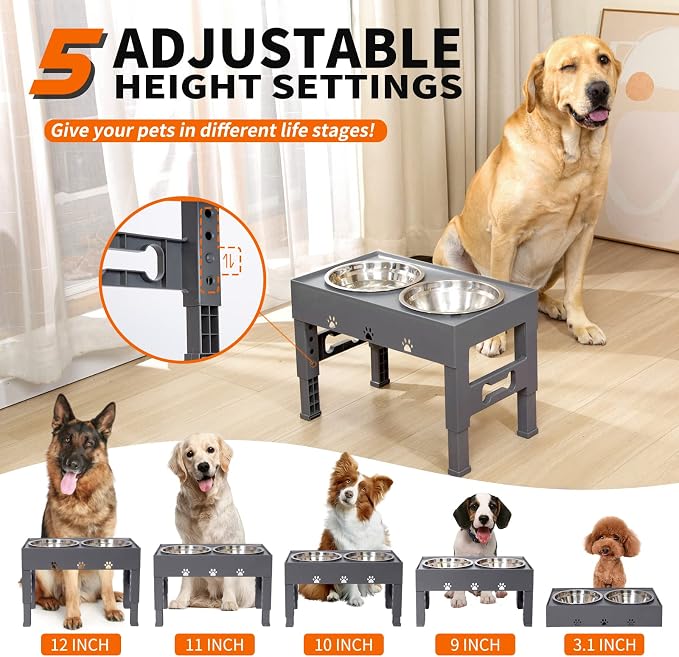 Elevated Dog Bowls with 2 Stainless Steel Bowls, 5-Height Adjustable Stand (3.1", 9" to 12"), for Improved Digestion & Neck Support, Easy Clean, Non-Slip Base Raised Feeder for Medium Large Dogs - Image 2