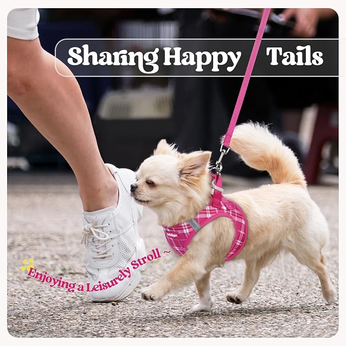 rabbitgoo Dog Harness Small Sized and Leash Set, Step-in Puppy Pet Vest | Light, Soft, Breathable Air Mesh, Easy on and Remove with Hook & Loop, Secure Reflective for Walking, Rose Red Plaid M - Image 9