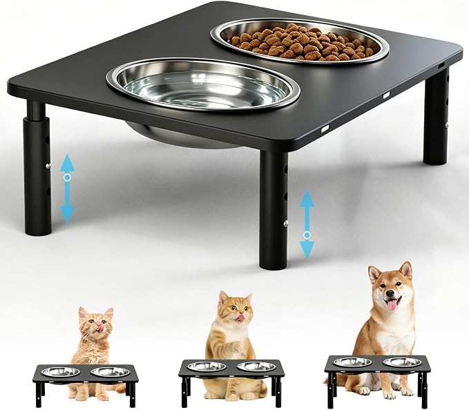 Adjustable Elevated Cat Bowls,6°/12° Tilted Cat Bowl Stand Anti-Vomiting | 3 Heights,Raised Cat Food and Water Bowl Set with Metal Stand,2 Stainless Steel Bowls for Cats and Puppy by Unknown