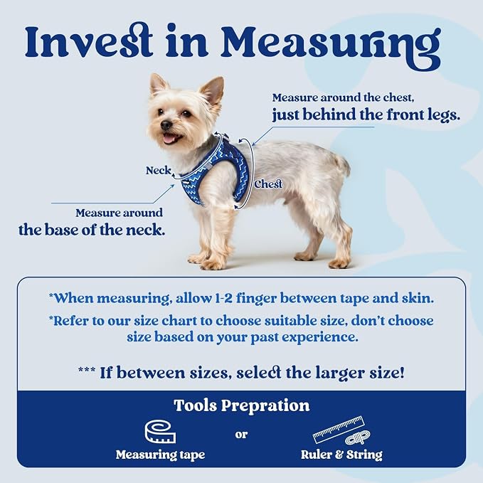 rabbitgoo Step-in Small Dog Harness, Puppy Vest for Small Sized Pet | Easy Put on and off, Lightweight, Soft, Breathable Quick-Dry Air Mesh for Comfortable Secure Walking, Blue Zigzag XXS - Image 2