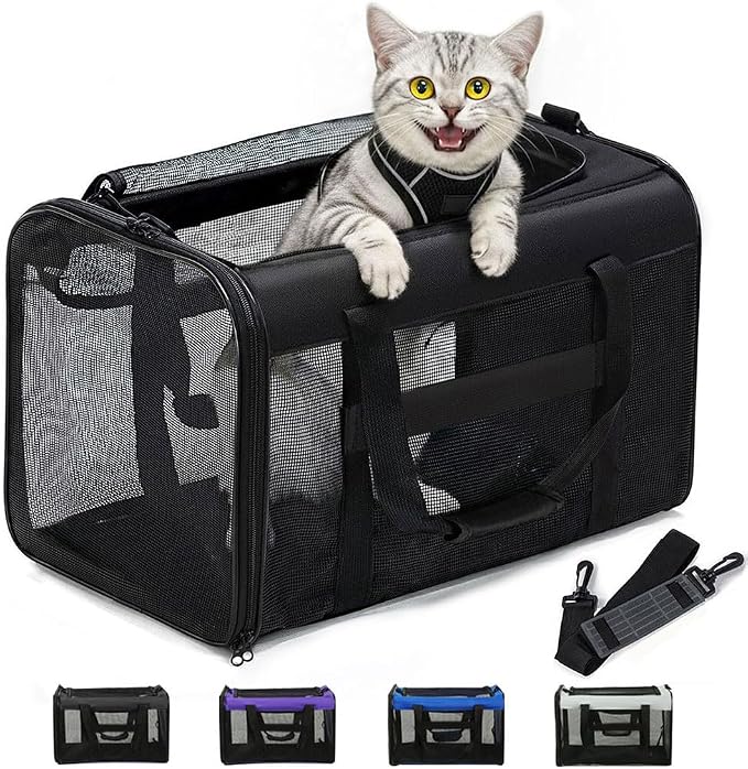 Conlun Cat Carrier Bag,Soft-Sided Pet Carriers for Dogs with 4-Sided Mesh,Airline Approved Cat Transport Carrier for Small&Medium Cats Kitten Puppy Up to 15Lb,Collapsible Cat Travel Carrier-M,Black by Conlun