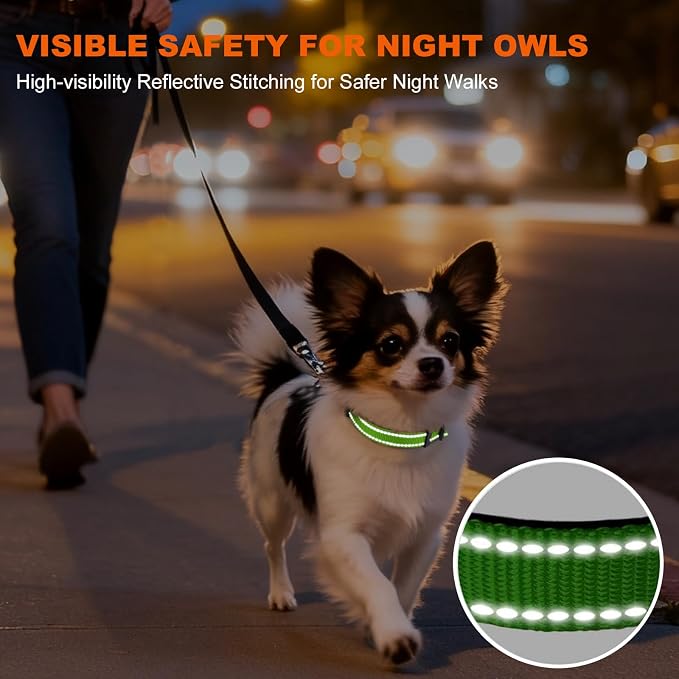 Taglory Reflective Dog Collar for Puppies, Gentle and Safe for Night Walks | Night-Walk Visibility, Soft Neck Cushioning, Adjustable 8-12 in, Locking Buckle, D-Ring for Leash and ID Tags - Image 5