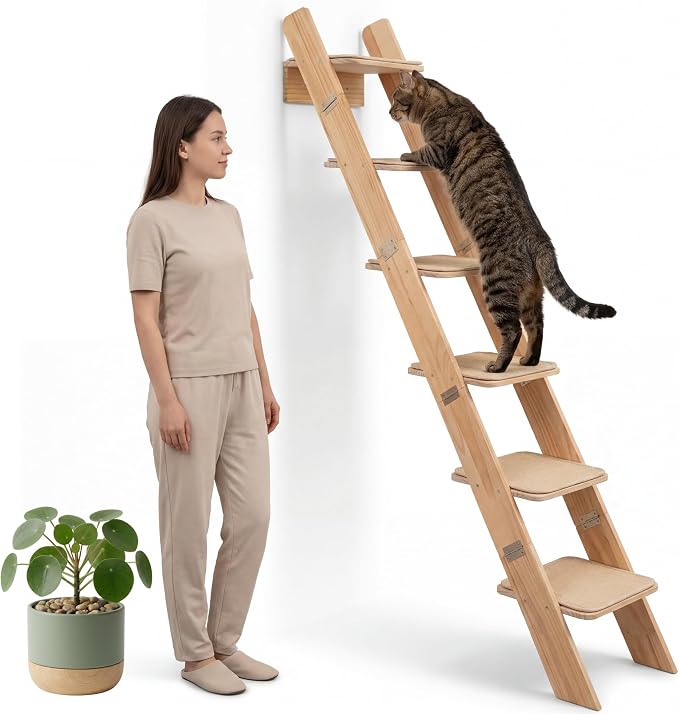 65" Tall 6-Level Cat Ladder for Window & wall | Fits Cats up to 20 lbs |Senior & Less Agile cat Stairs for Window with 55° Gentle Incline | Requires 43" Floor Clearance | No-Drill Glass Installation by SERENHOOM