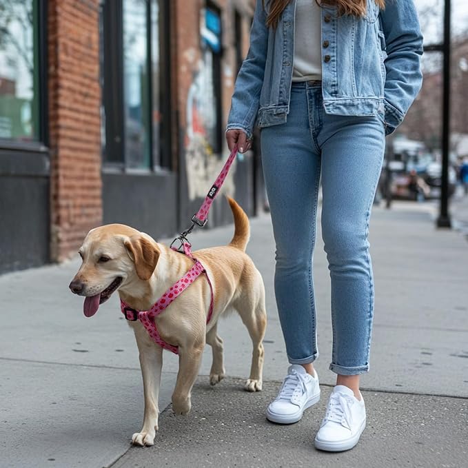 Dog Harness Leash Set Adjustable Heavy Duty No Pull Halter Harnesses for Small Medium Large Breed Dogs Back Clip Anti-Twist Perfect for Walking - Image 7