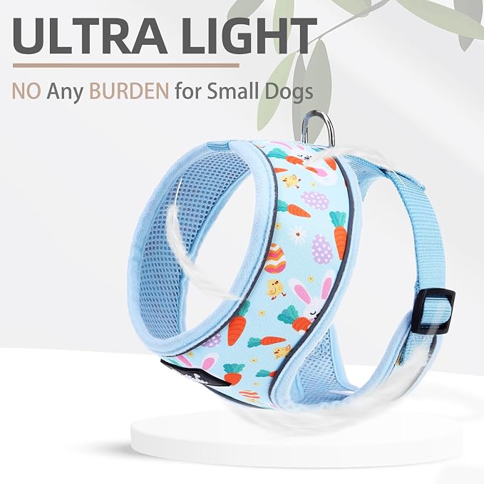 PUPTECK Small Dog Harness and Leash Set No Pull for XS XXS Sized Dogs Puppy | Escape Proof No Choke Pet Cat Adjustable Soft Padded Walking Vest - Image 5