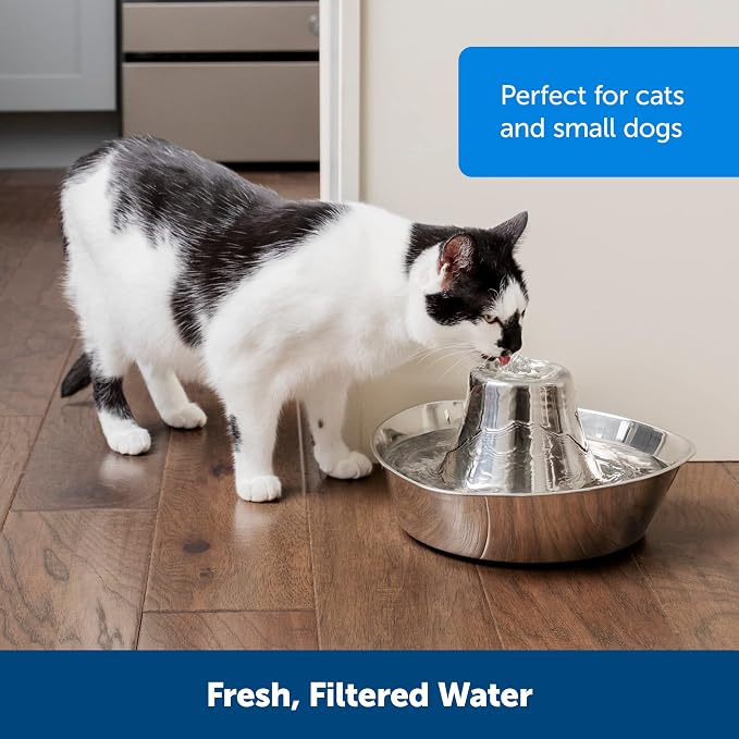 PetSafe Seaside Stainless Steel Cat & Dog Fountain, 60 Oz Water Capacity - 2 Water Filters & 1 Pump Included, Soothing Flow for Pets, Scratch-and Rust-Resistant Material - Quiet Motor (Pack of 4) - Image 6