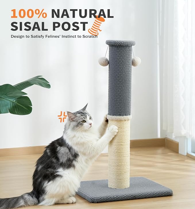 Made4Pets Tall Cat Scratching Post with Sisal & Carpet for Indoor Cats, 33" | Cat Scratcher with Wide Stable Base, Interactive Hanging Toys, Ideal for Adult Cats, Large Breeds and Full-Body Stretching - Image 7