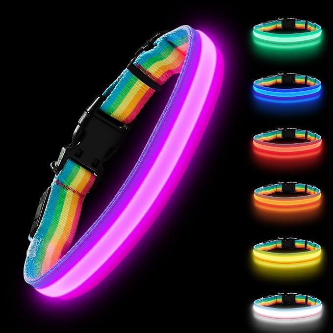 PetIsay Premium LED Dog Collar for Night Walking, USB Rechargeable(Small) | 7 Color Modes, Bright LED Illumination, Waterproof Design, Adjustable Comfort for Night Safety by PetIsay