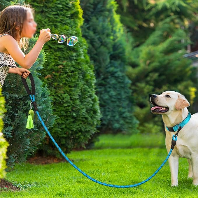 Dynmeow Reflective Dog Collar and Leash Set for Medium Dogs, Blue | Soft Neoprene Padded, 6FT Climbing Rope, Ideal for Daily Outdoor Walking or Indoor Wearing, Night Visible for Safety - Image 6