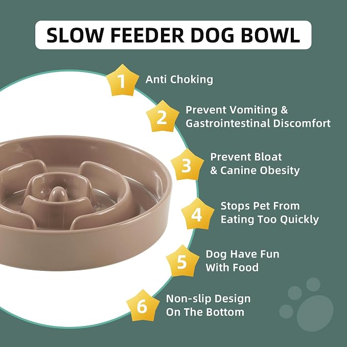 Havniva Dog Bowls Slow Feeder, Ceramic Slow Feeder Dog Bowls for Fast Eater | 3.2 Cups Dog Food Bowl Puzzle Feeder, Slow Feeding Bowls for Large Dogs, Non-Slip Base, Anti-Choking - Image 5