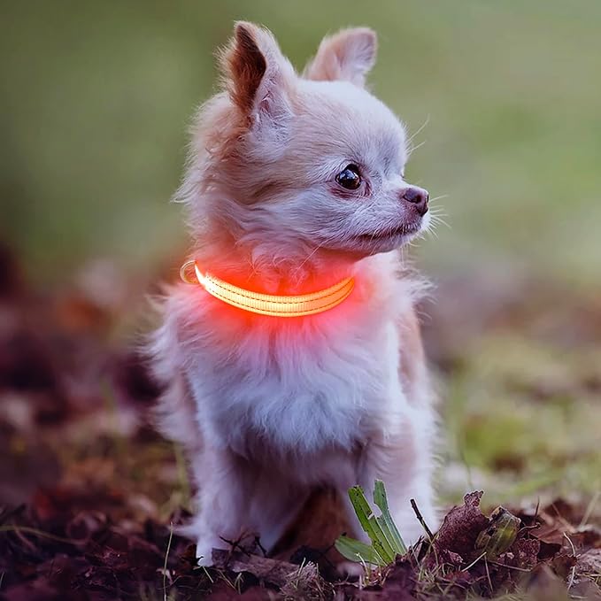 Light Up Dog Collar - Rechargeable LED Dog Collar, Adjustable Reflective Puppy Collar, Glowing Safety Dog Lights for Small Breeds Dogs Cats (Orange) - Image 6