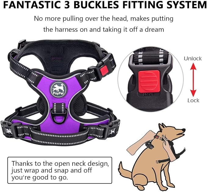 PoyPet Dog Harness and Leash Set, No Pull Vest with Front Clip and Handle | Escape Proof, Reflective, 3 Buckles, 2 D-rings, Adjustable, Soft Padded, 5 Feet Leash, for Walking Training, Purple, S - Image 2