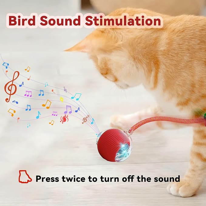 Speedy 2.0 Tail Interactive Cat Toys for Indoor Cats, Automatic Cat Toy with Elastic Mesh Tail, Electric Rolling Ball on Carpet, Chirping and Motion Activate Cat(Grey) - Image 3