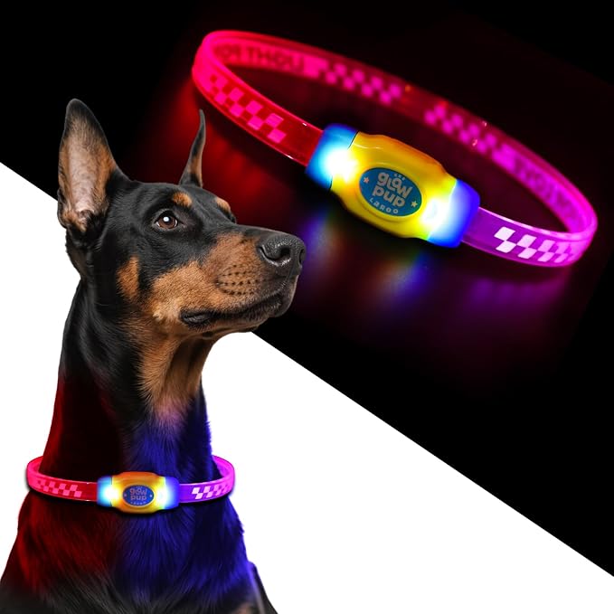 LaRoo LED Light Up Dog Collar, Multi-Color Glowing Safety Pet Collar, Rechargeable Night Visibility Collar, Pet Safety Collar Makes Your Beloved Dogs Be Seen at Night for Small Medium Dogs(Blue) - Image 2