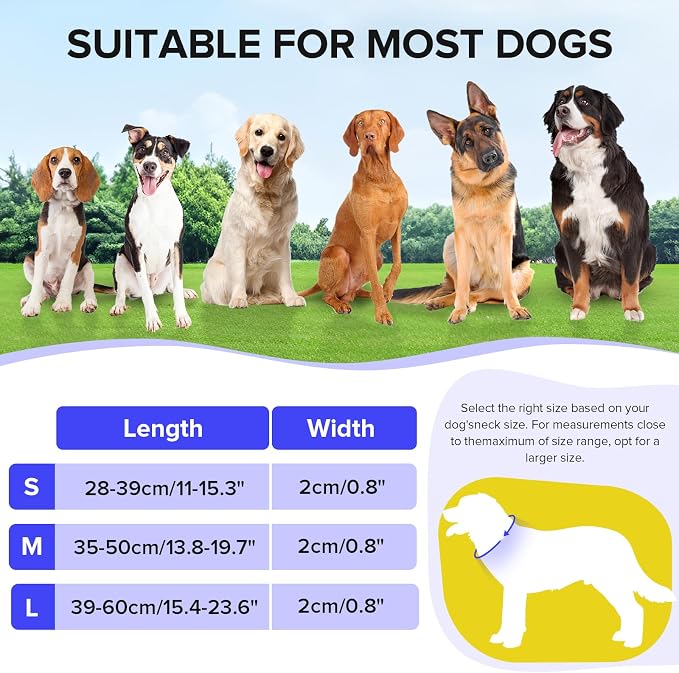 LED Dog Collar, Light Up Dog Collar USB-C Rechargeable Waterproof | 360° Visibility Light Up Dog Collar, Adjustable Nylon Collar with 3 Modes for Small Medium Large Dogs Night Walking Blue M - Image 5