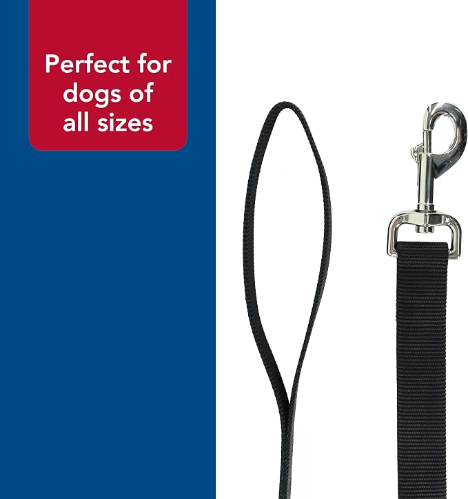 Coastal Pet Single-Ply Dog Leash - Sturdy Pet Leash - Comfortable & Stylish - Resists Fraying - Vibrant & Fade-Resistant Color - Black, 5/8" x 6' - Image 5