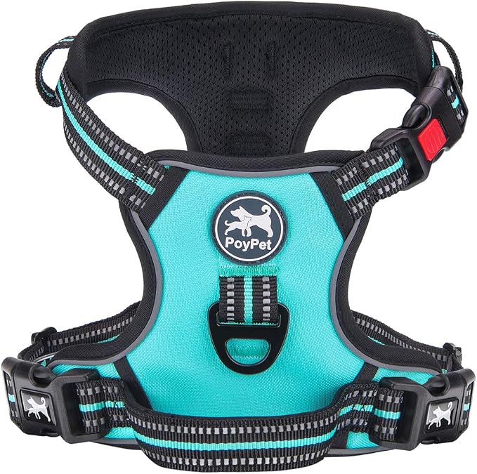 PoyPet Dog Harness Medium, No Pull Vest with Front/Back Clip & Neck Buckle | No Choke, Lockable, Reflective, 2 Lead Rings, Adjustable, Soft Padded Handle for Training Walking, M, Mint Blue by PoyPet