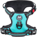 PoyPet Dog Harness Medium, No Pull Vest with Front/Back Clip & Neck Buckle | No Choke, Lockable, Reflective, 2 Lead Rings, Adjustable, Soft Padded Handle for Training Walking, M, Mint Blue by PoyPet