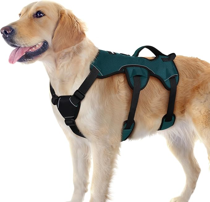 rabbitgoo Escape Proof Dog Harness for Large, No Pull with Lift Handle | No Escape, Full Soft Padded, Reflective Adjustable Vest, Leash Clip for Walking Hiking Training, Dark Green, Large by rabbitgoo