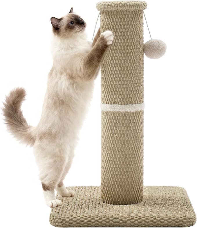 Made4Pets Cat Scratching Post, Carpet Cat Scratcher for Indoor Cats, 23.6" | Compact Base, Hanging Balls for Play, Easy Assembly with Tools, Vertical Scratching for Kittens and Smaller Cats, Beige by Made4Pets