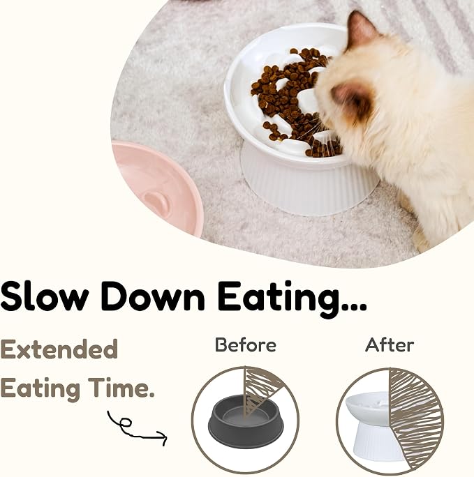 Unbreakable Raised Slow Feeder Bowl for Cats and Small Dogs, Elevated Cat Bowls, Detachable Slow Feede Bowl, Heavy Weighted, Non-Slip Feeder, Dry & Wet Food, Whisker Friendly Flat Plates (White - Image 2