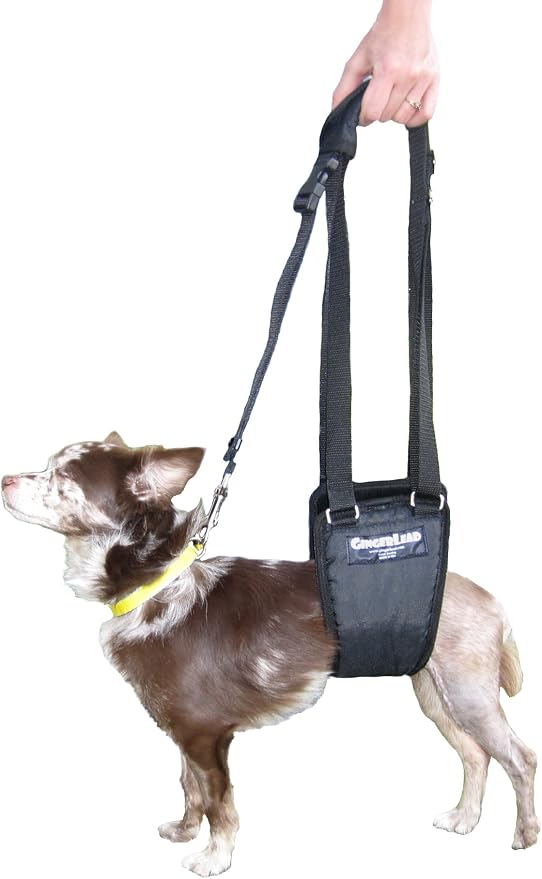 Dog Support Sling Rear Leg Harness, SM Male, Machine Wash & Dry | Fits Small to Medium Size Pets or Larger Barrel-Chested Breeds like Boxers, Bullies. Male Dachshunds use XS Size. Made in USA - Image 5