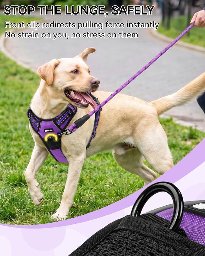 Joytale No Pull Dog Harness & Seat Belt, Easy On 3-Buckle, M, Purple | Front Clip Reduces Pulling, Escape-Resistant Design, Adjustable Fit, Soft Padding for Comfort, Secure Tether for Safer Travel - Image 4