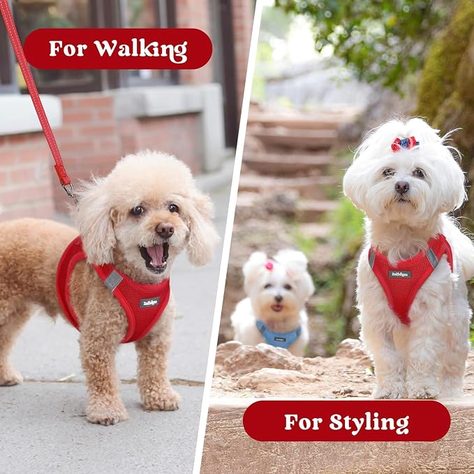 rabbitgoo Step-in Small Dog Harness, Puppy Vest for Small Medium Sized Pet | Easy Put on and off, Lightweight, Soft, Breathable Quick-Dry Air Mesh for Comfortable Secure Walking, Red L - Image 9