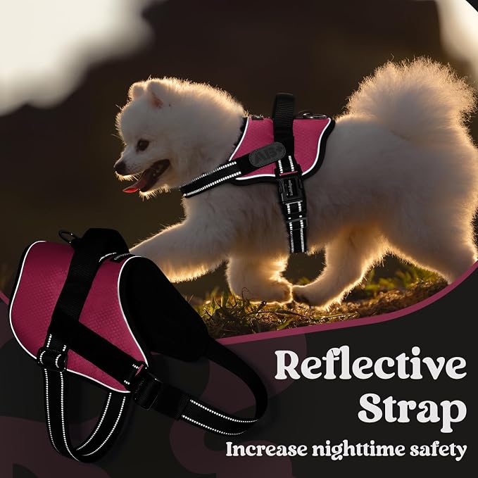 rabbitgoo Dog Harness for Large, Easy On Pet Vest with One Buckle, No Pull Adjustable Service Harness with D-Ring & Handle, Reflective for Safety Walking, Training, Pink, L - Image 6