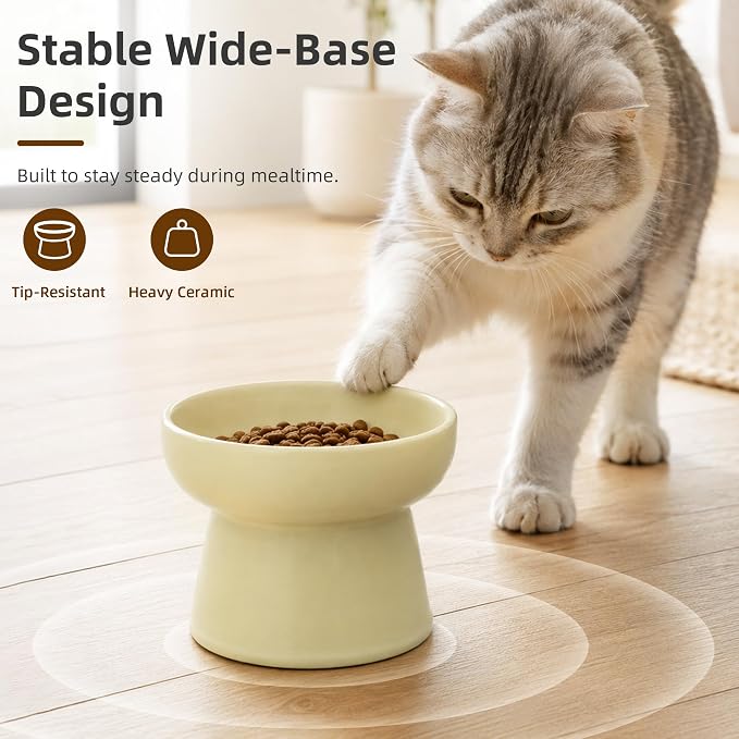 Casfuy Non-Skid Whisker-Friendly Elevated Ceramic Cat Food & Water Bowl - Image 4