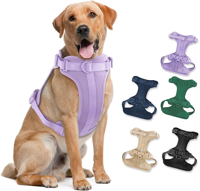 Wisedog Lightweight No Pull Dog Harness, Lilac, Large | Air Mesh, 3 Clips, Adjustable, No Choke Design, Ideal for Walking Training by WisedogPetSupplies