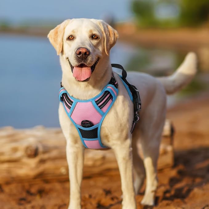 rabbitgoo Dog Harness, No Pull Medium Sized with 2 Leash Clips, Pet Vest | No Choke with Handle, Adjustable Soft Padded, Reflective, Easy Control for Walking, Pink & Blue, Medium - Image 7