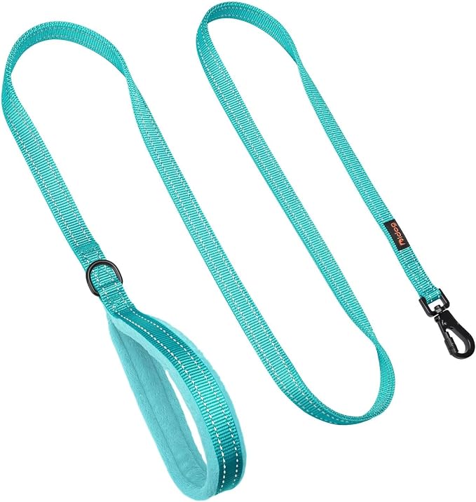 Didog 6FT Reflective Dog Leash for Medium Large Dogs, Slim 3/4" Width, Teal | Soft Padded Handle, Plush Comfort Grip, Tangle-Free, 360°Heavy-Duty Strengthened Clasp for Daily Walks/Training, Night Safety - Image 4