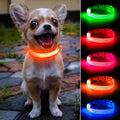 Light Up Dog Collar - Rechargeable LED Dog Collar, Adjustable Reflective Puppy Collar, Glowing Safety Dog Lights for Small Breeds Dogs Cats (Orange) by DOMIGLOW