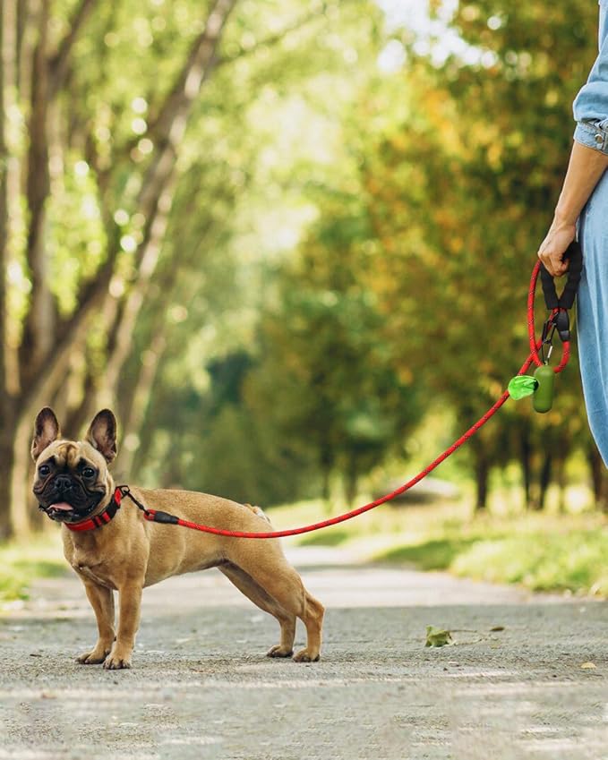 Dynmeow Reflective Dog Collar and Leash Set for Small Dogs, Red | Soft Neoprene Padded, 6FT Climbing Rope, Ideal for Daily Outdoor Walking or Indoor Wearing, Night Visible for Safety - Image 5