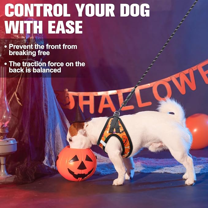 BEAUTYZOO Halloween Dog Harness Medium Sized and Leash Set,No Pull Pet Vest | Step-in Easy On/Off, All Season Breathable Mesh,Escape-Proof Hook & Loop,Lightweight Reflective,No Choke,Easy Walking Control - Image 4