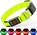 Illumifun Light Up Dog Collar, USB Rechargeable LED Dog Collar Glow in the Dark，Adjustable Pet Safety Lights for Night Walking (Green, Medium) by Illumifun