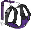 Lukovee Dog Car Harness Seat Belt, Harness & Seatbelt with 2 in 1 Buckle | Adjustable Soft Breathable Mesh Harness, Reflective Elastic Reflective Tether, for Small Medium Large Dogs Pets (Purple,S) by Lukovee