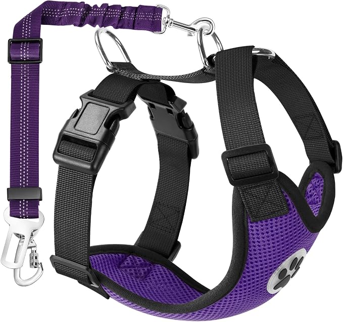 Lukovee Dog Car Harness Seat Belt, Harness & Seatbelt with 2 in 1 Buckle | Adjustable Soft Breathable Mesh Harness, Reflective Elastic Reflective Tether, for Small Medium Large Dogs Pets (Purple,S) by Lukovee
