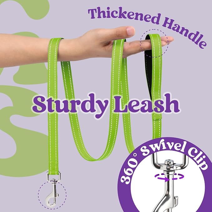 rabbitgoo Dog Harness Small Sized and Leash Set, Step in Soft Vest | Breathable Mesh, Easy Wear with Hook & Loop, Light and Reflective for Walking, Multi-colored, Purple & Green, M - Image 7